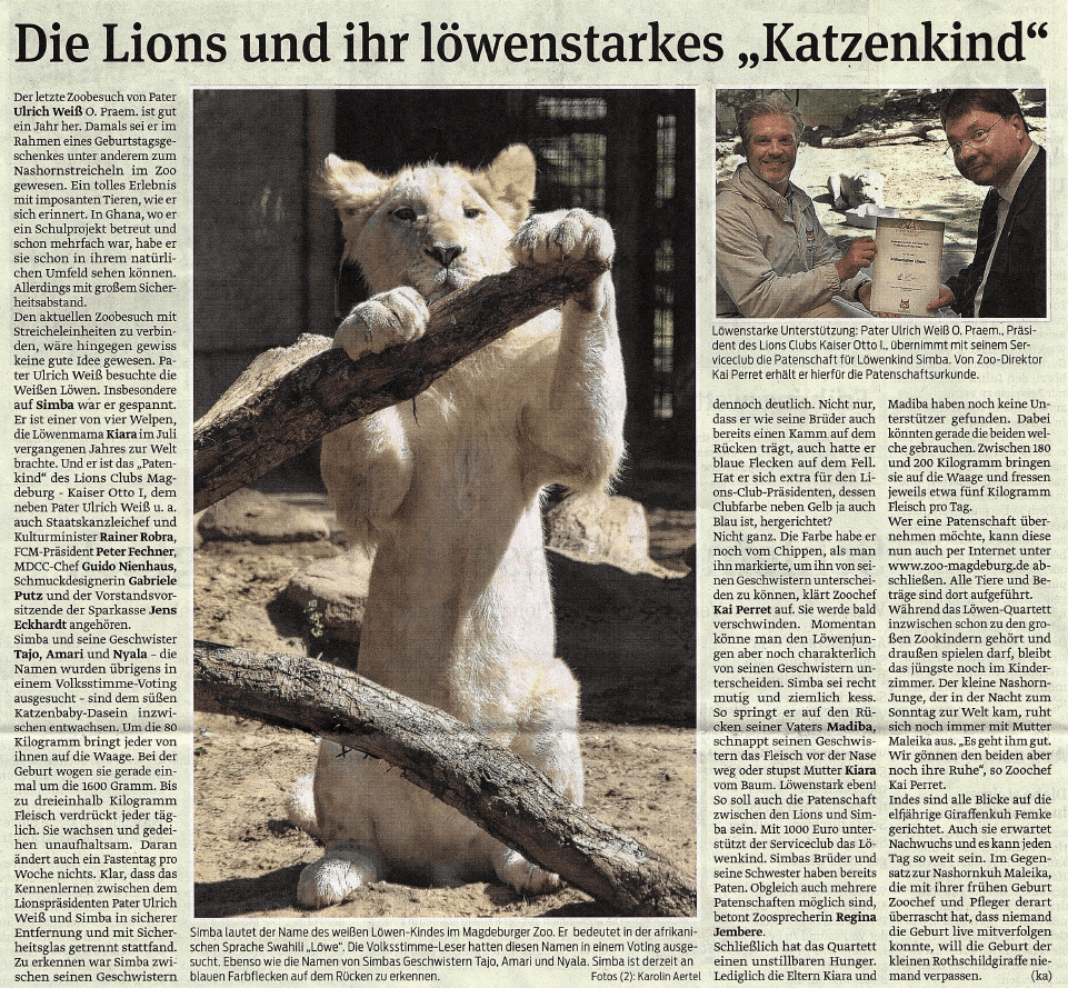 Presseartikel "Die Lions und ihr löwenstarkes "Katzenkind"" aus Magdeburger Volksstimme